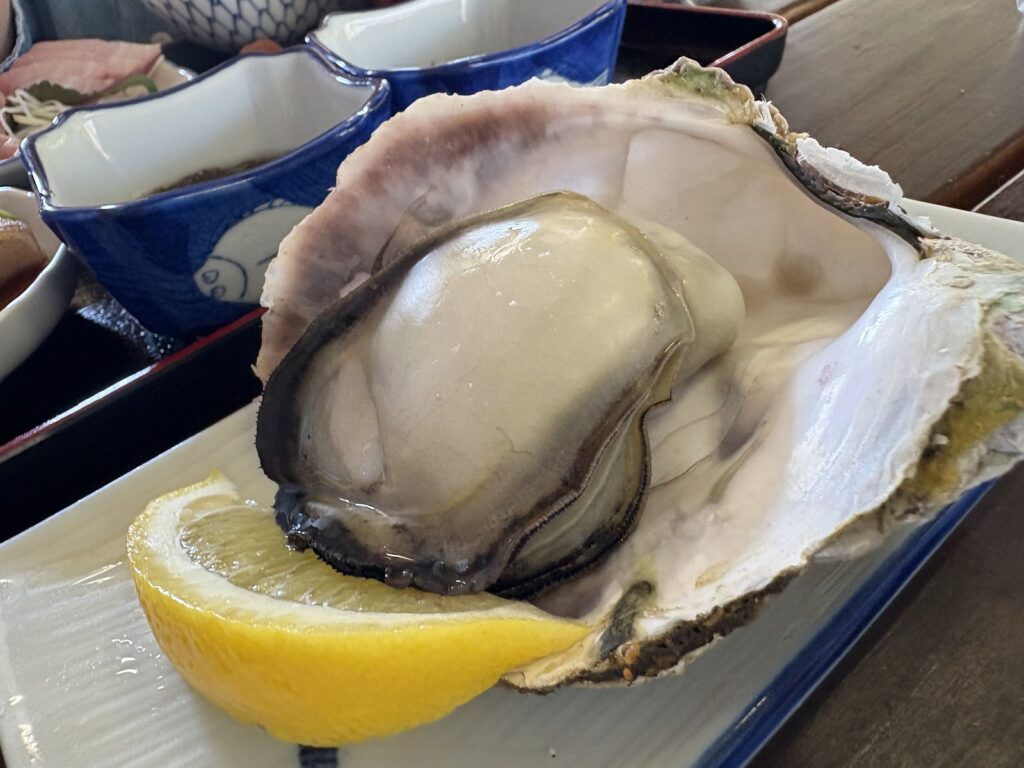 西ノ島の大ぶりな岩牡蠣