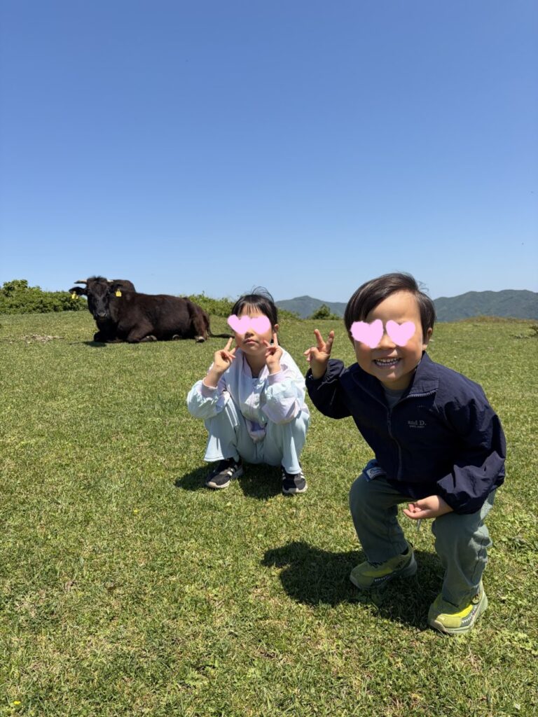放牧の牛を見て大興奮の子どもたち