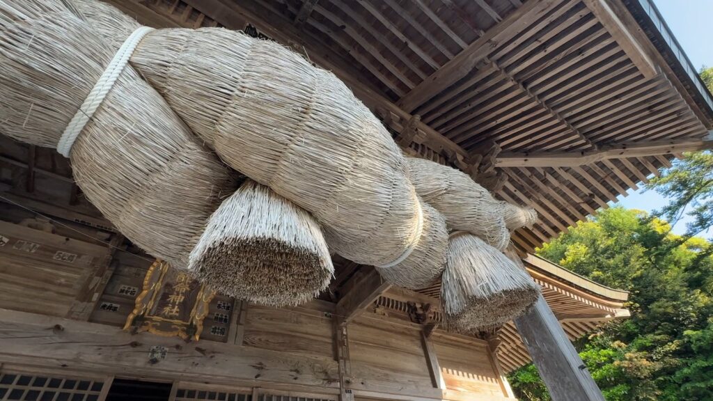 八百杉を見上げる3歳の息子