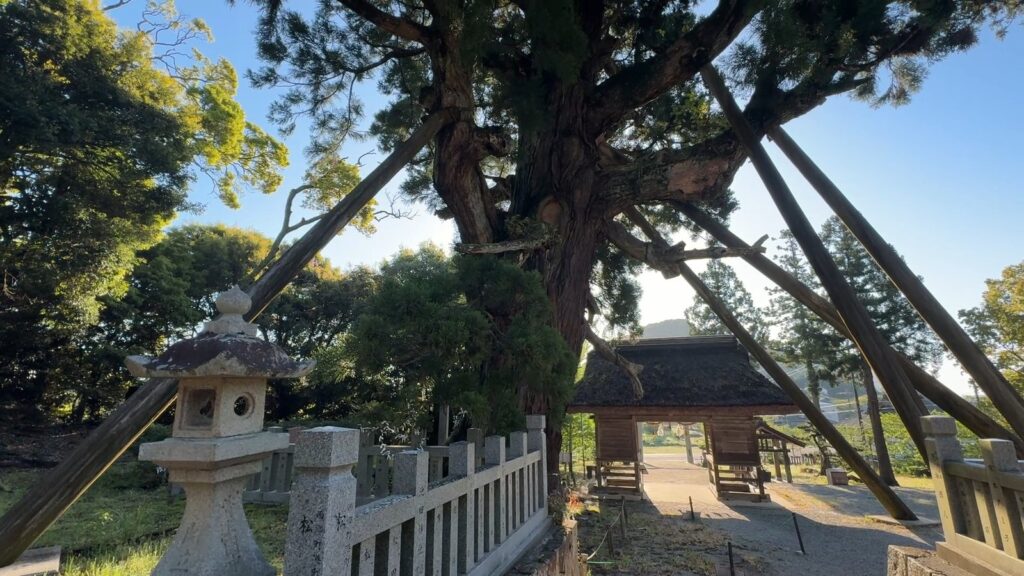 静かな玉若酢命神社の境内を歩く