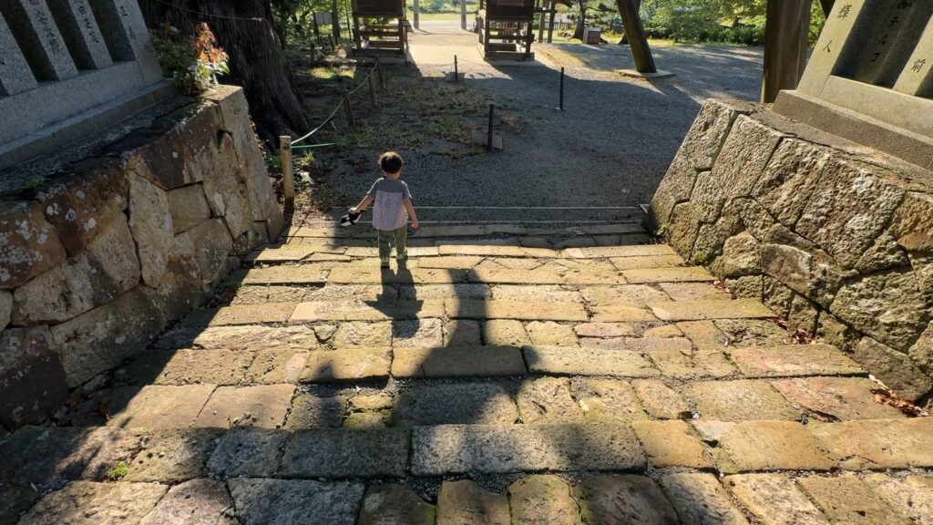 樹齢2000年・八百杉の太い幹