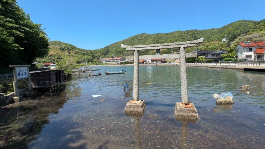 由良比女神社前のイカ寄せの浜