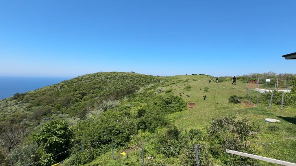 摩天崖の無料駐車場へ続く細い山道