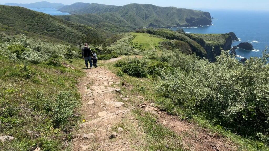摩天崖の緑の放牧地と青い日本海