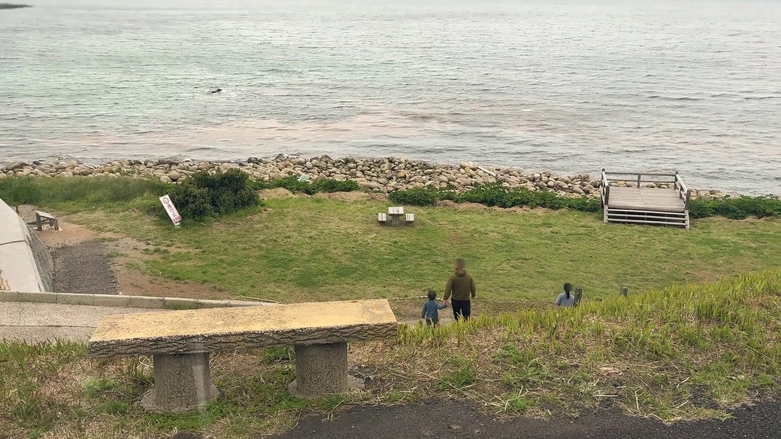 曇り空の明屋海岸、芝生広場と木のデッキ