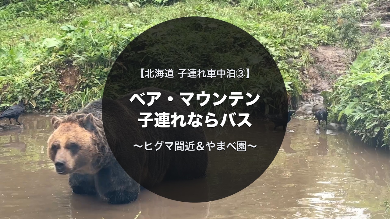 ベア・マウンテンのヒグマ