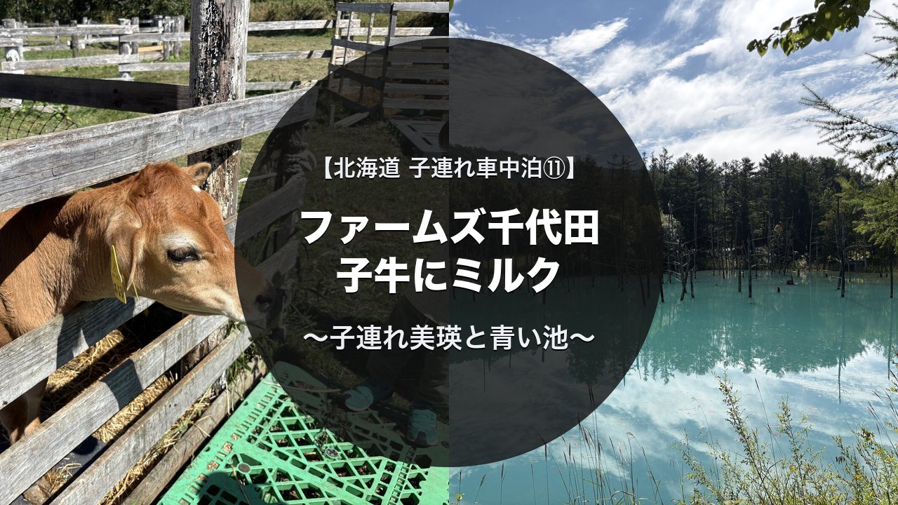 ファームズ千代田の子牛と白金 青い池