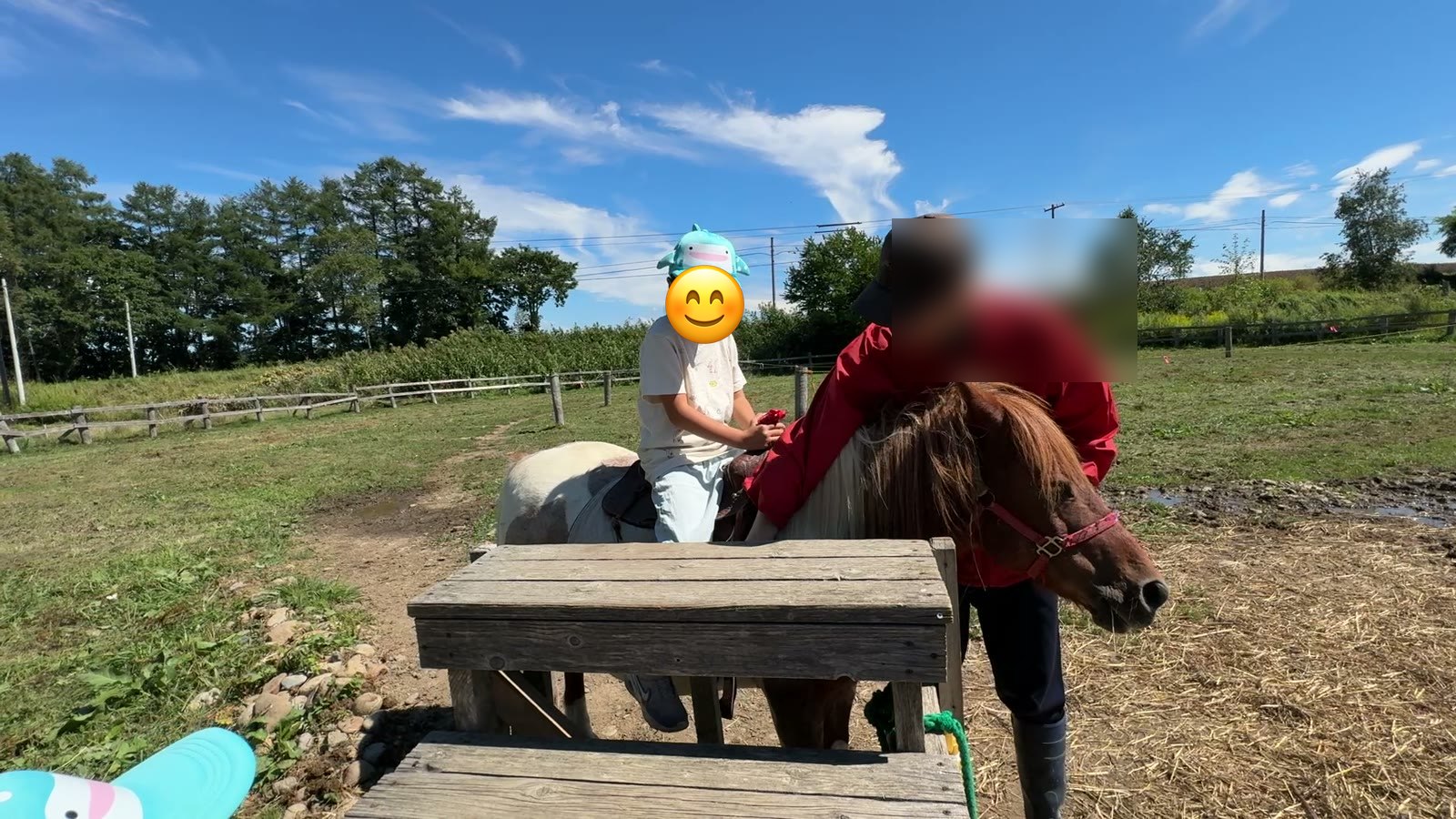 ひとりでポニーに乗る息子