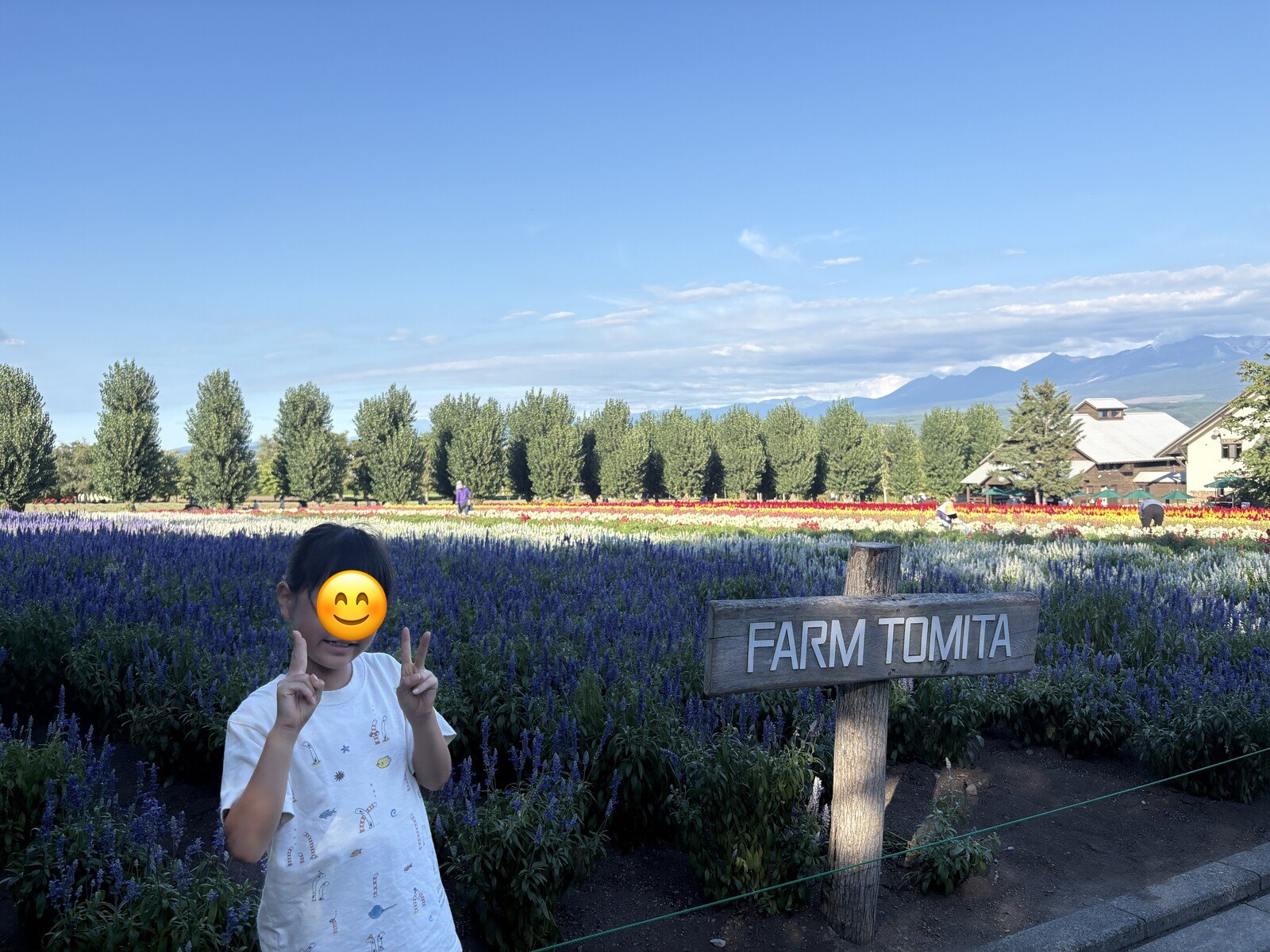 ファーム富田の花畑と娘