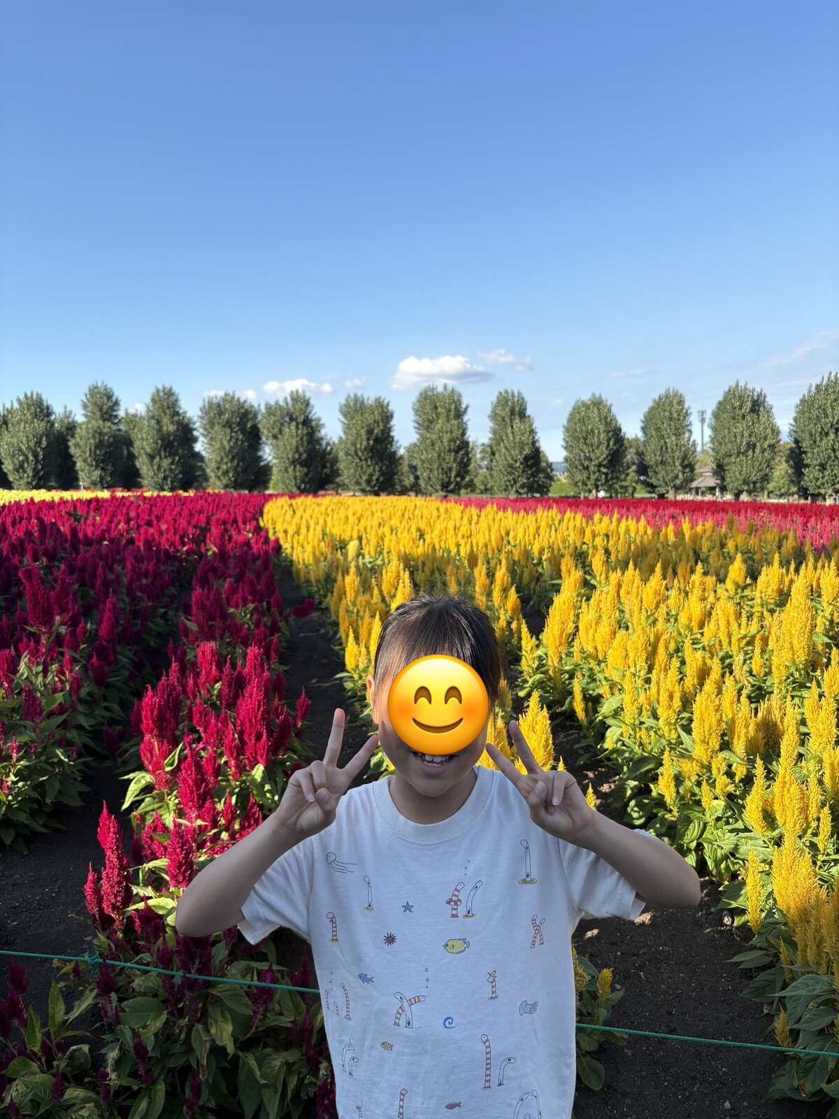 花畑の前でピース