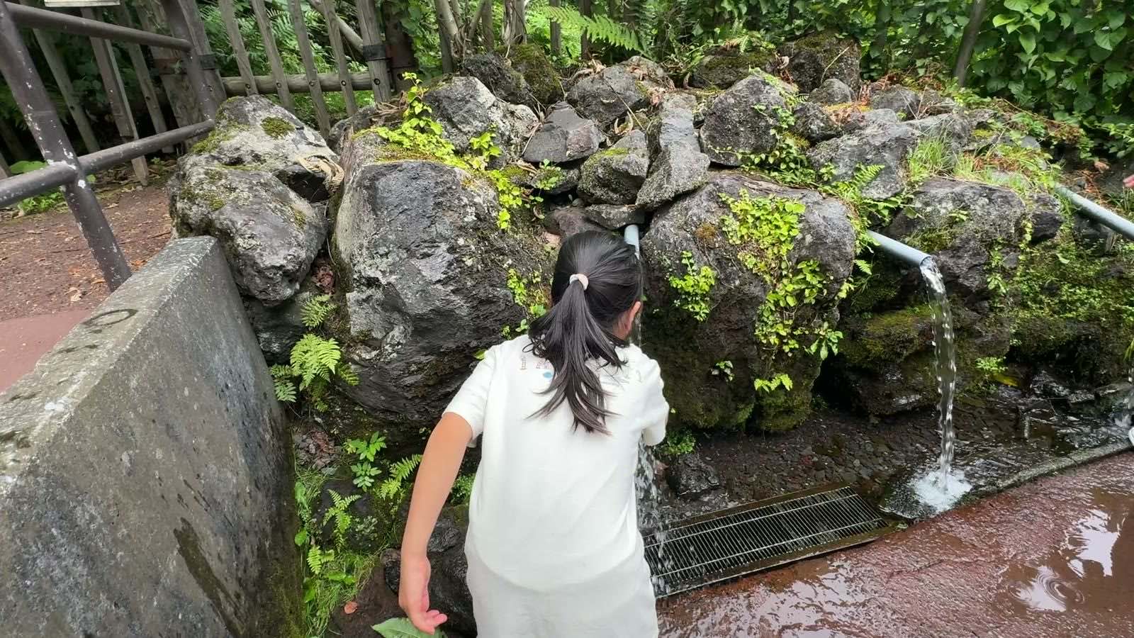 湧き水をごくごく飲む娘