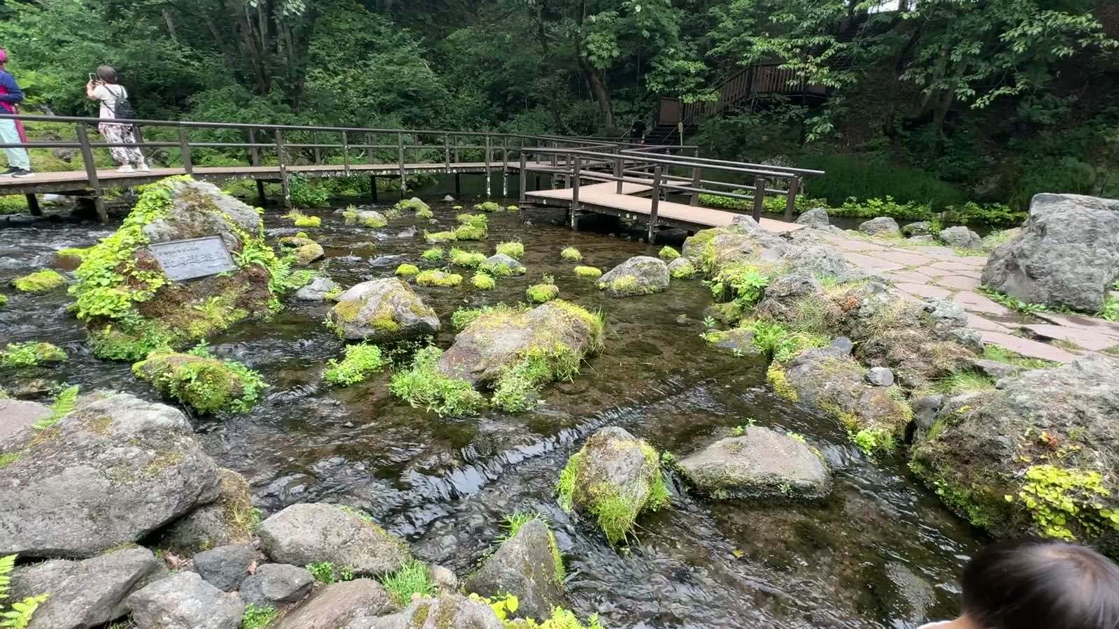 苔むした岩の間を流れる湧き水
