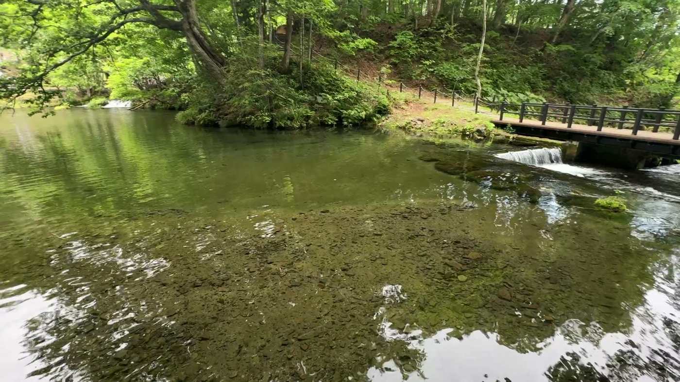 底まで透き通る池