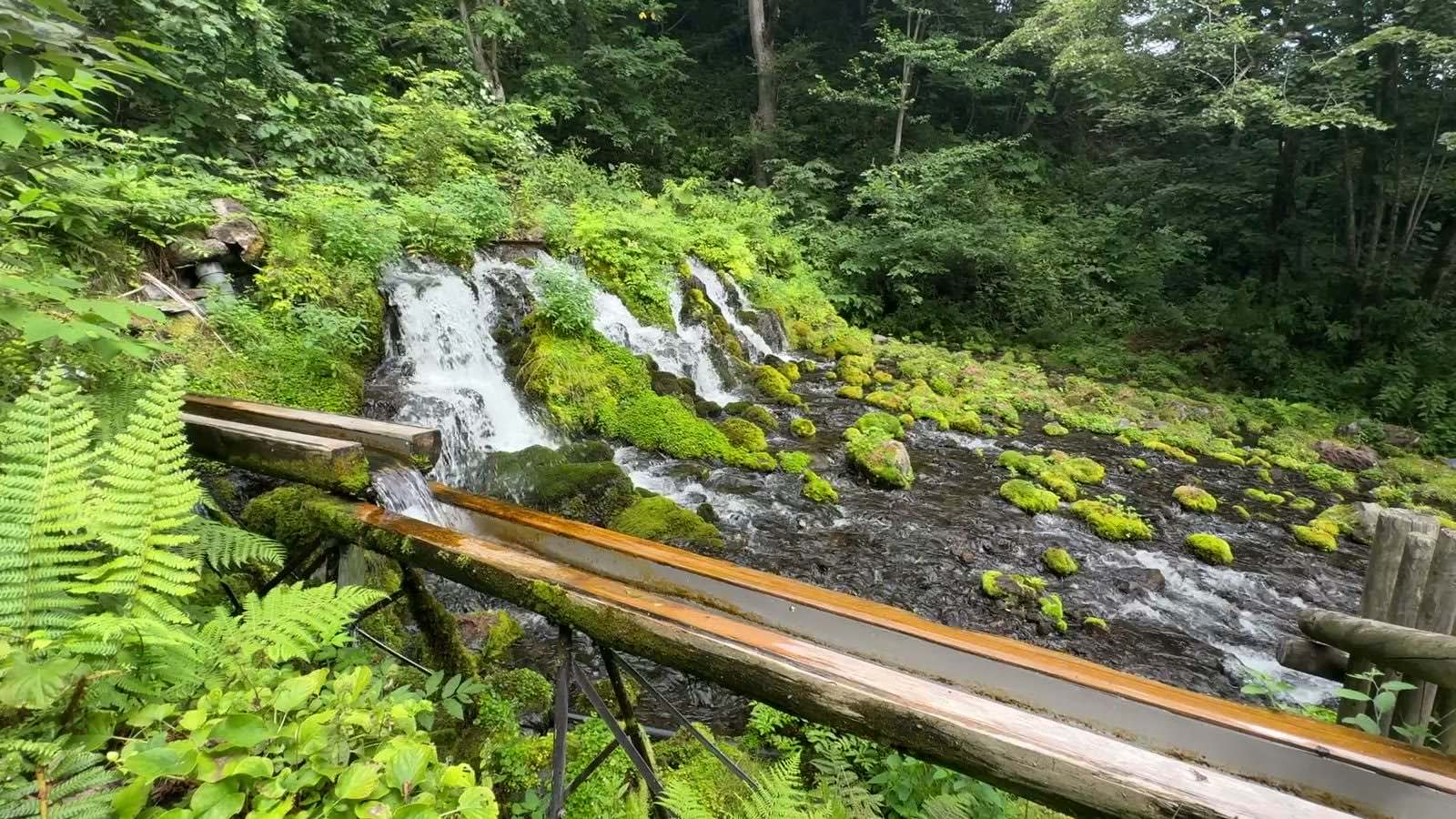岩の間から勢いよく流れ出る湧き水