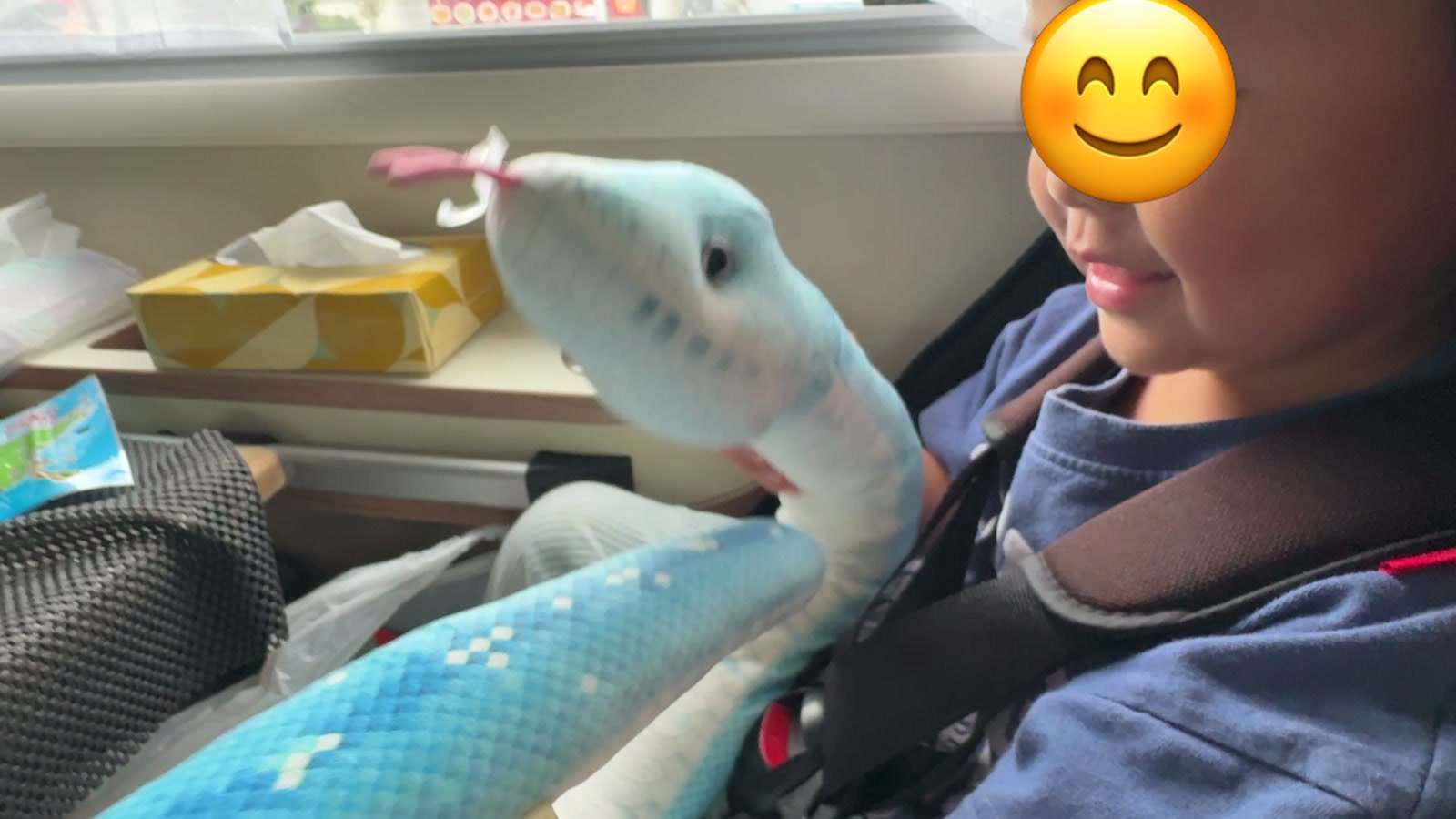 誕生日プレゼントの青いヘビのぬいぐるみ