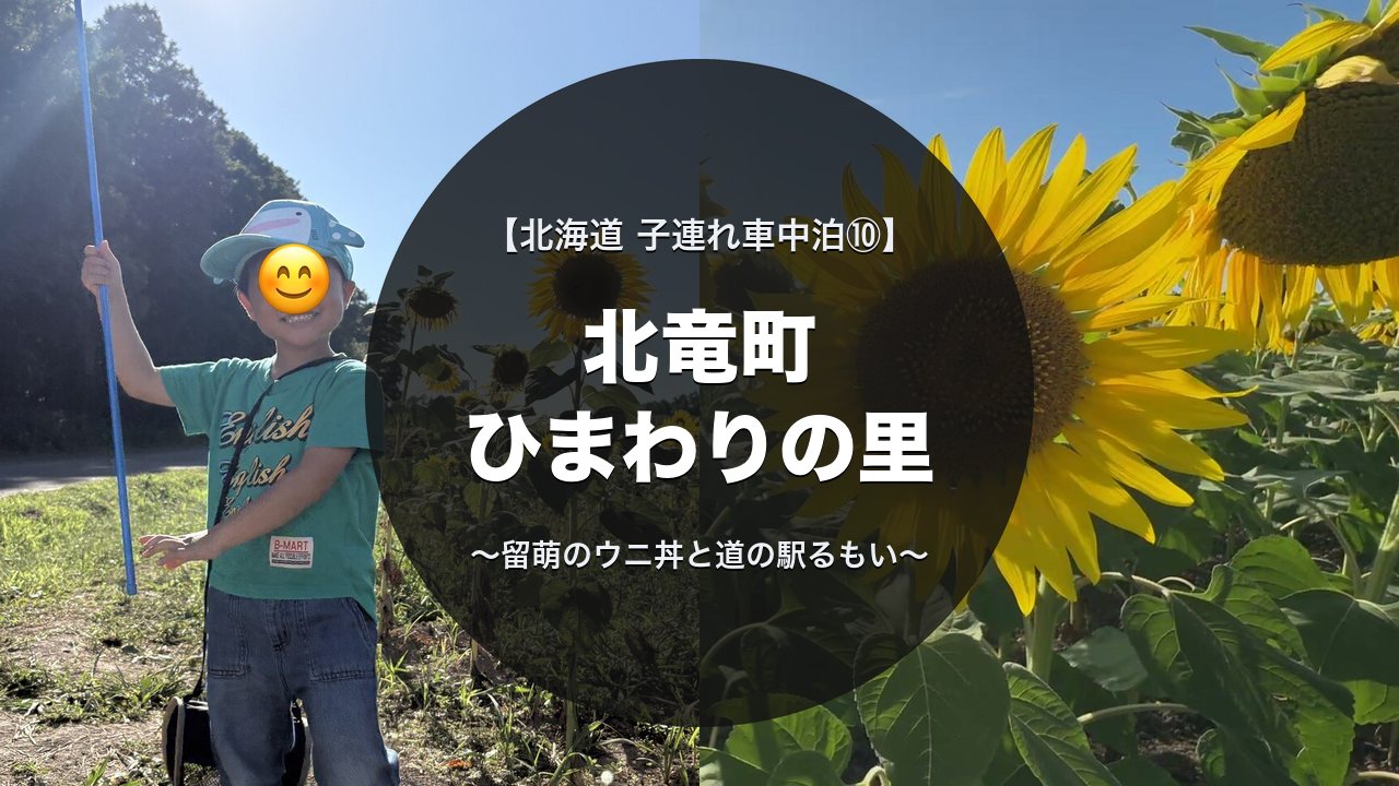 北竜町ひまわりの里で虫とりをする息子とひまわり