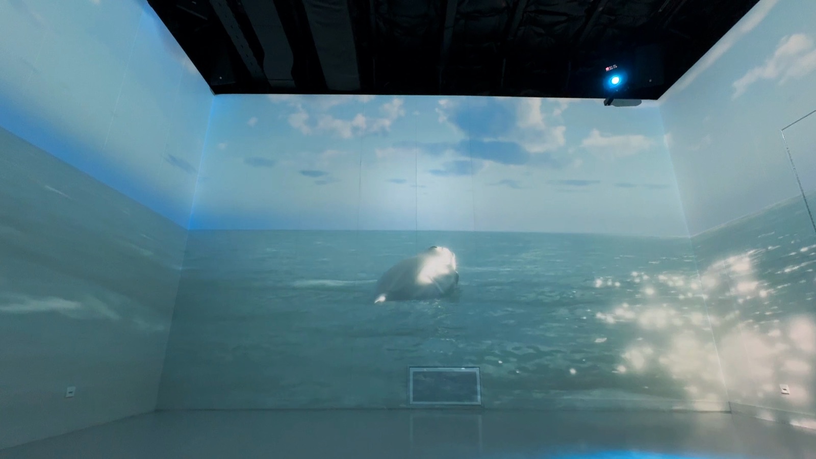 けやきのスクリーンルームに映るクジラの映像