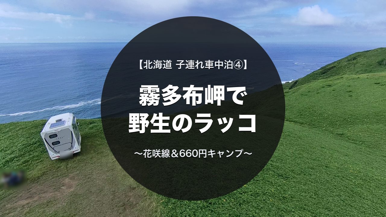 海を見下ろす丘の上のキャンピングカー（空撮）