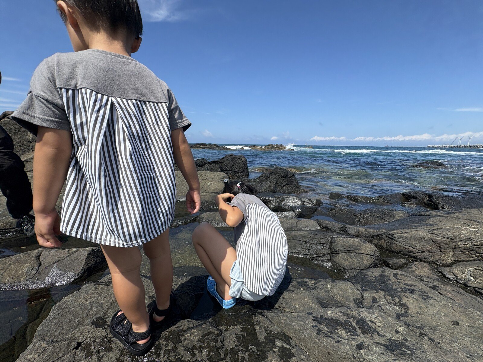 岩場で生きものさがし