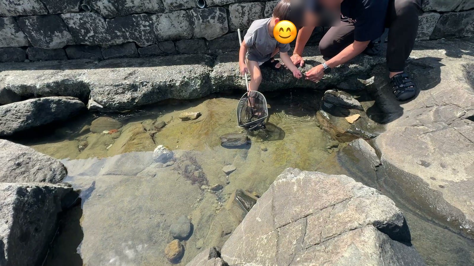 網で生きものをすくう