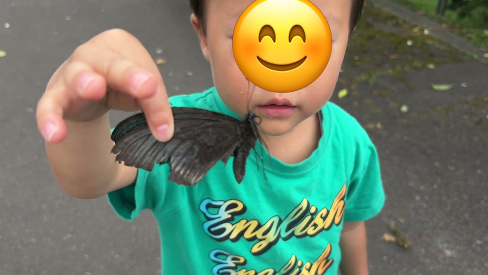 息子がつかまえた黒いアゲハチョウ