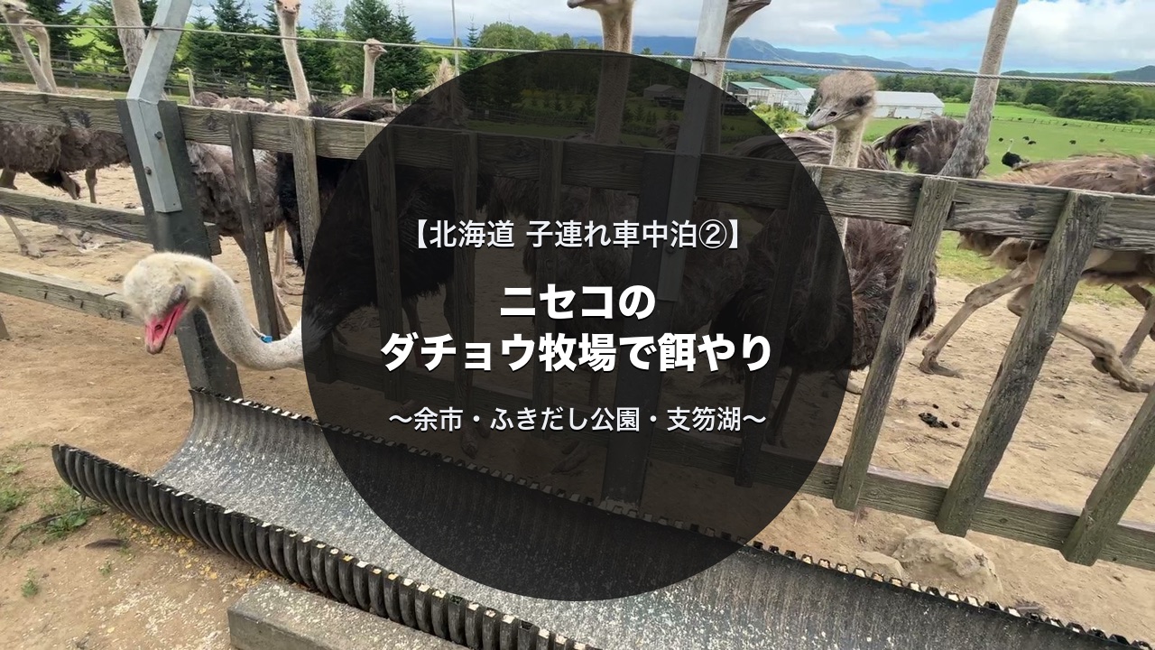 ニセコのダチョウ牧場で子連れ餌やり体験｜北海道キャンピングカー旅②