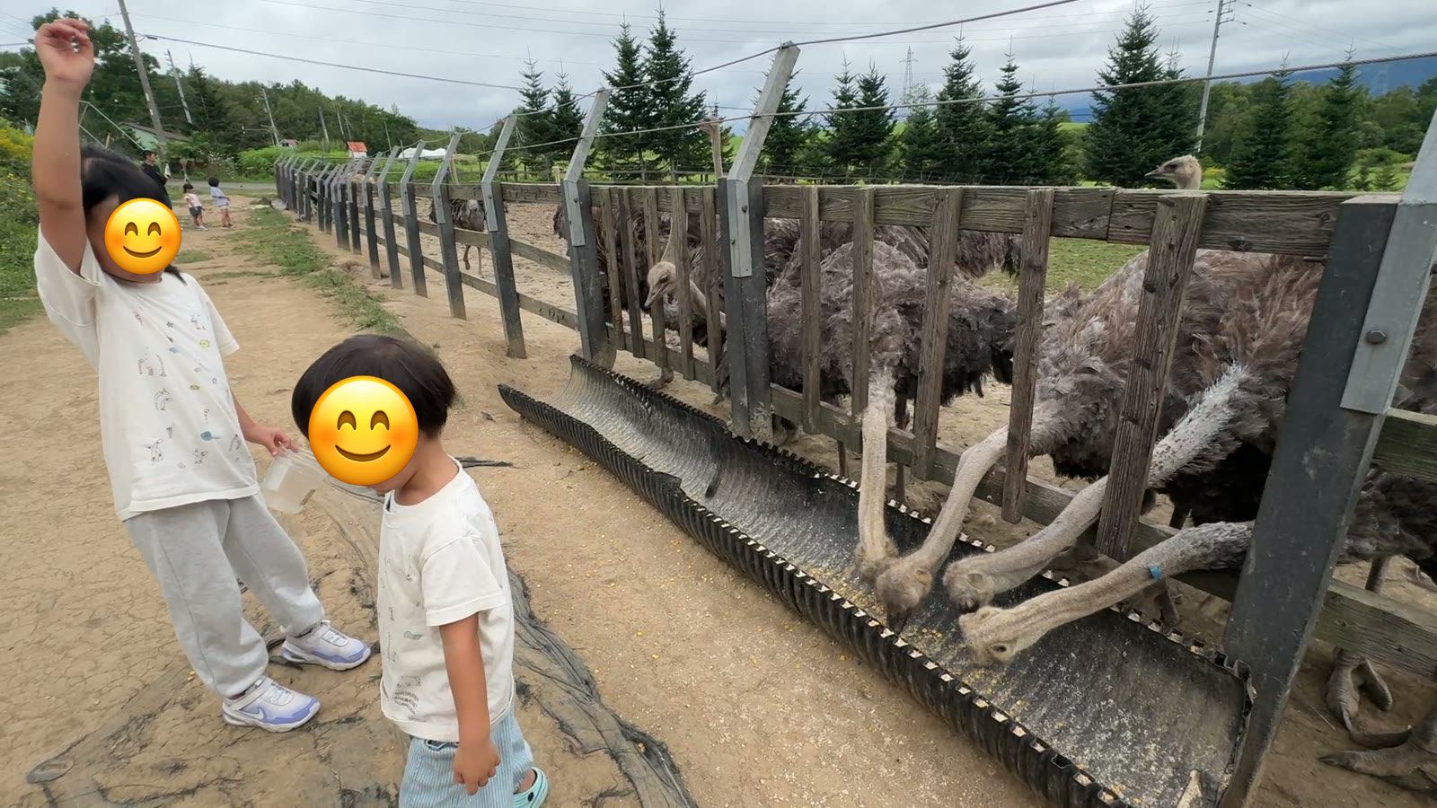 カップを持って、いざ餌やり