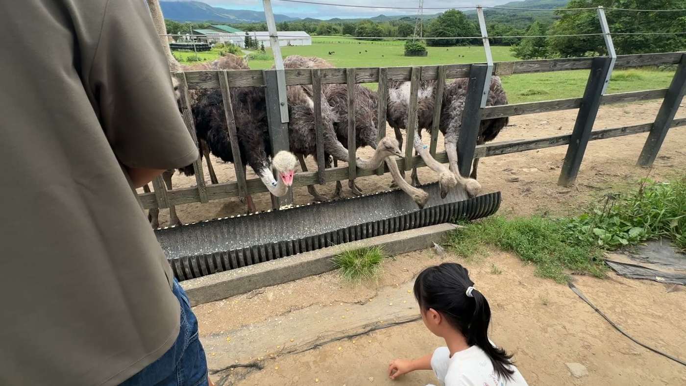 樋に餌をまく娘