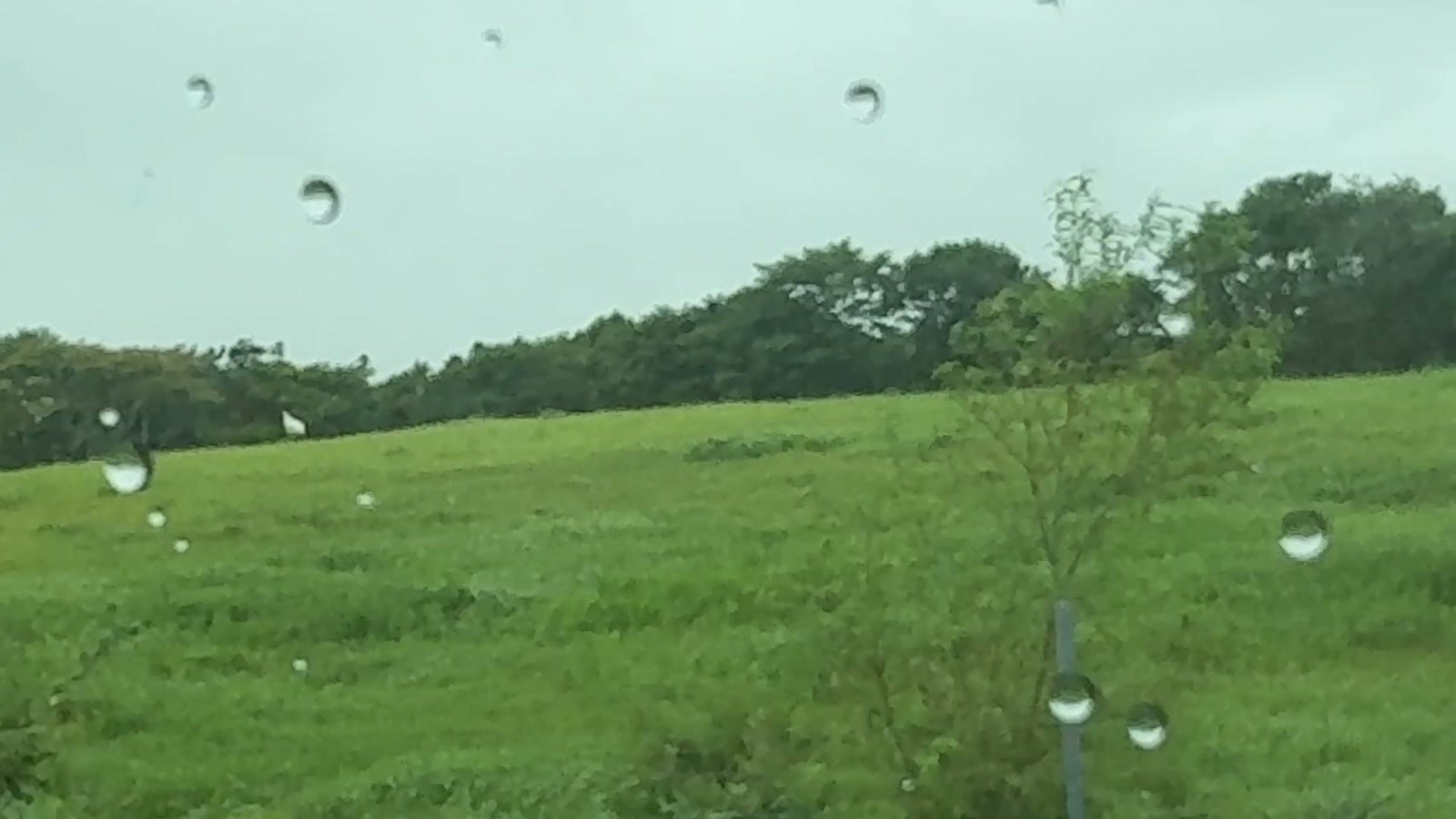雨の中を野付半島へ