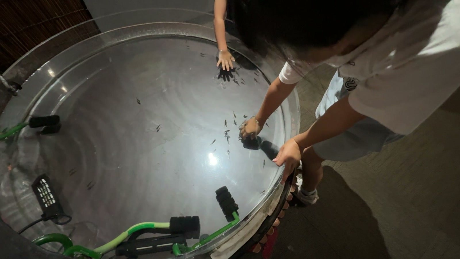 水槽に手を入れる体験