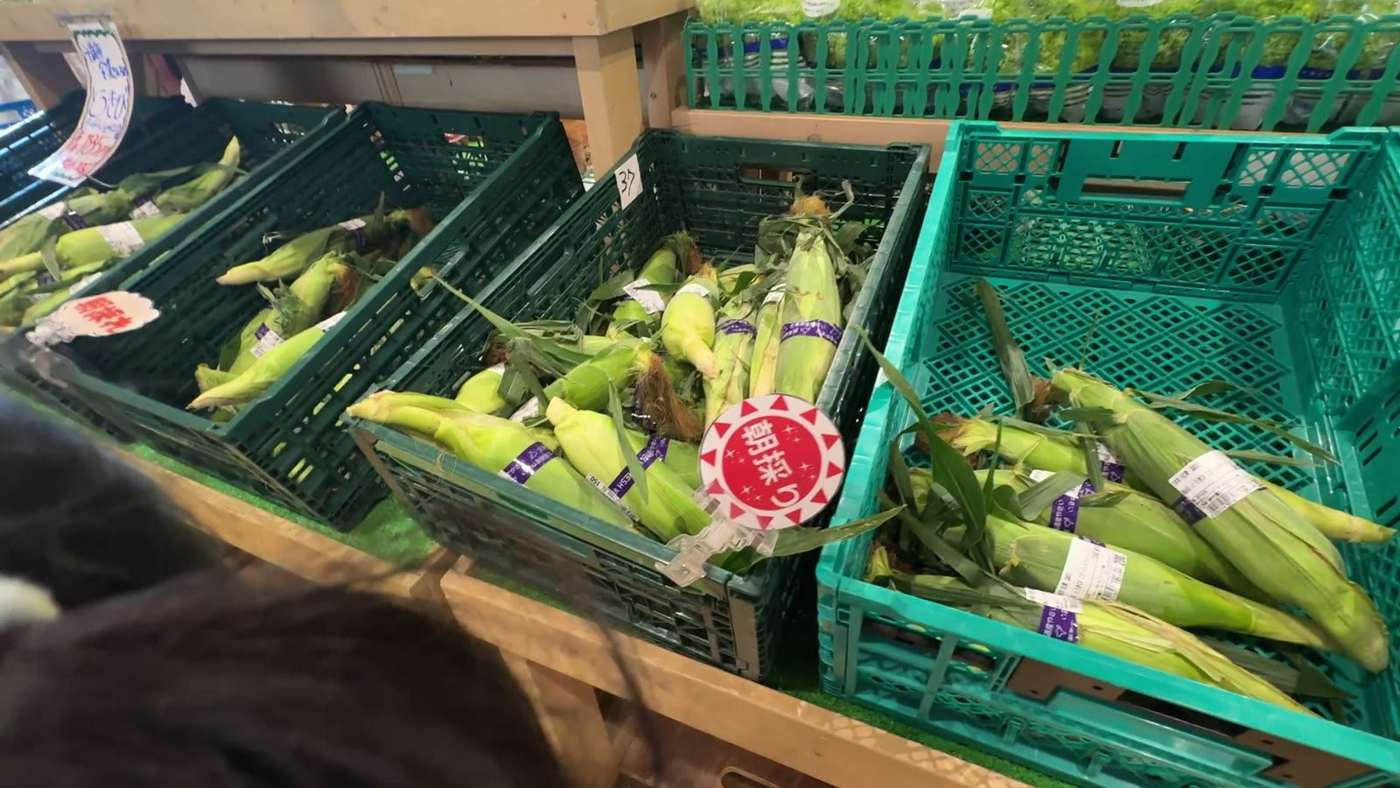 とうもろこし売り場