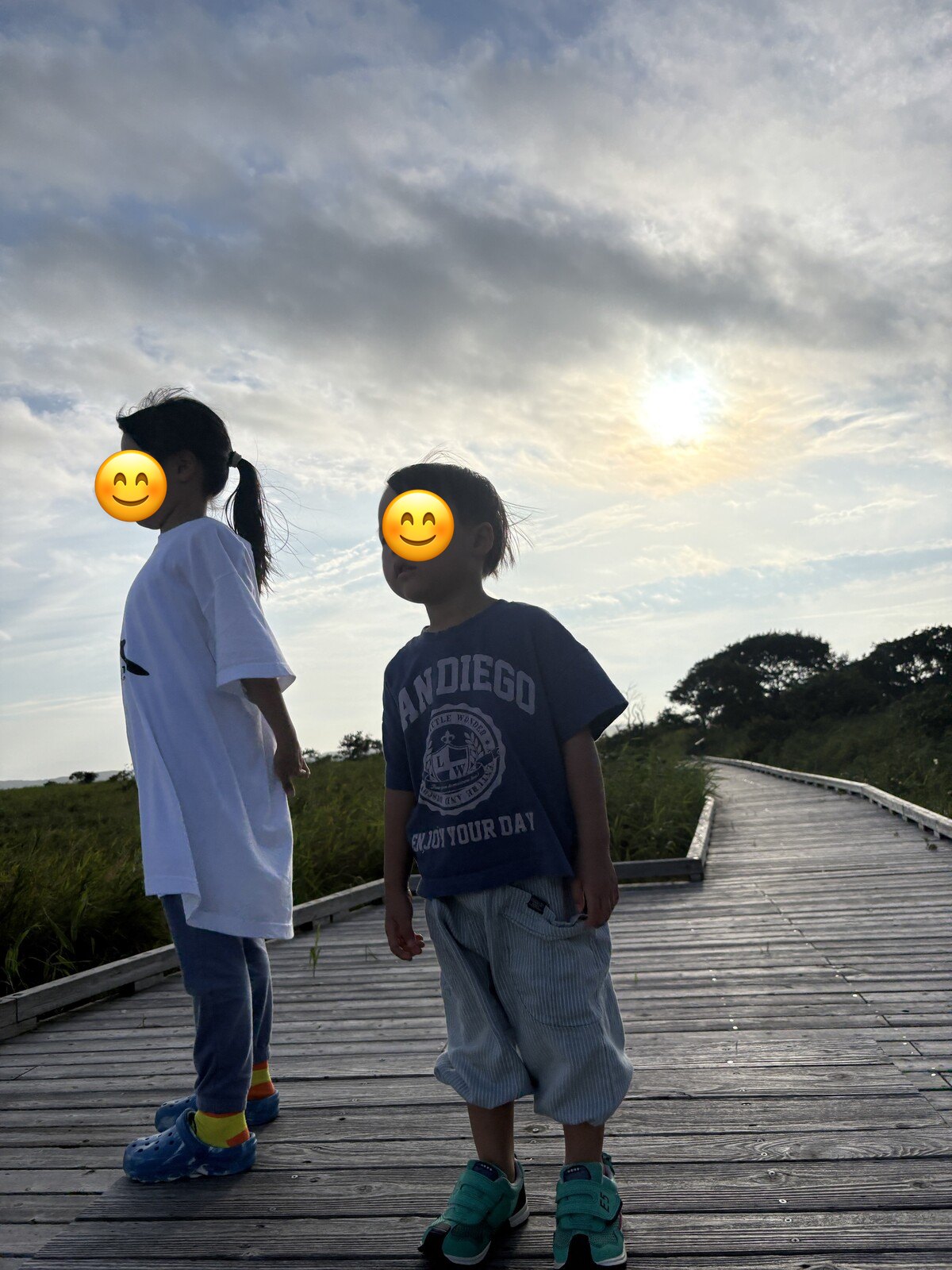 湿原の木道で