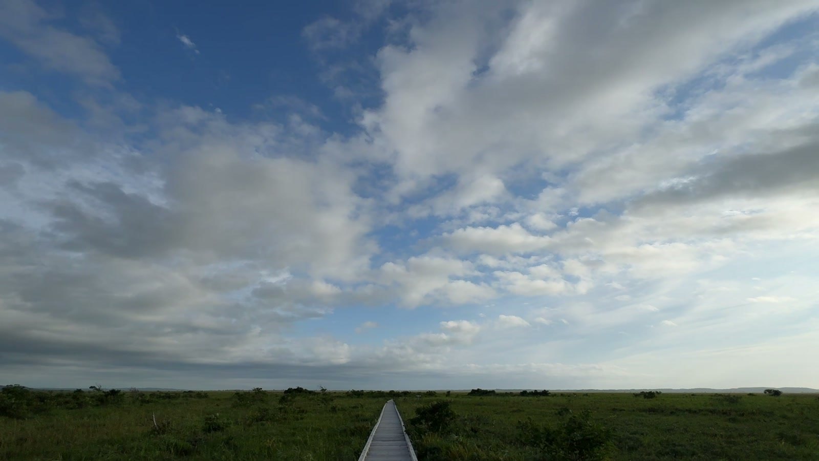 湿原と大きな空
