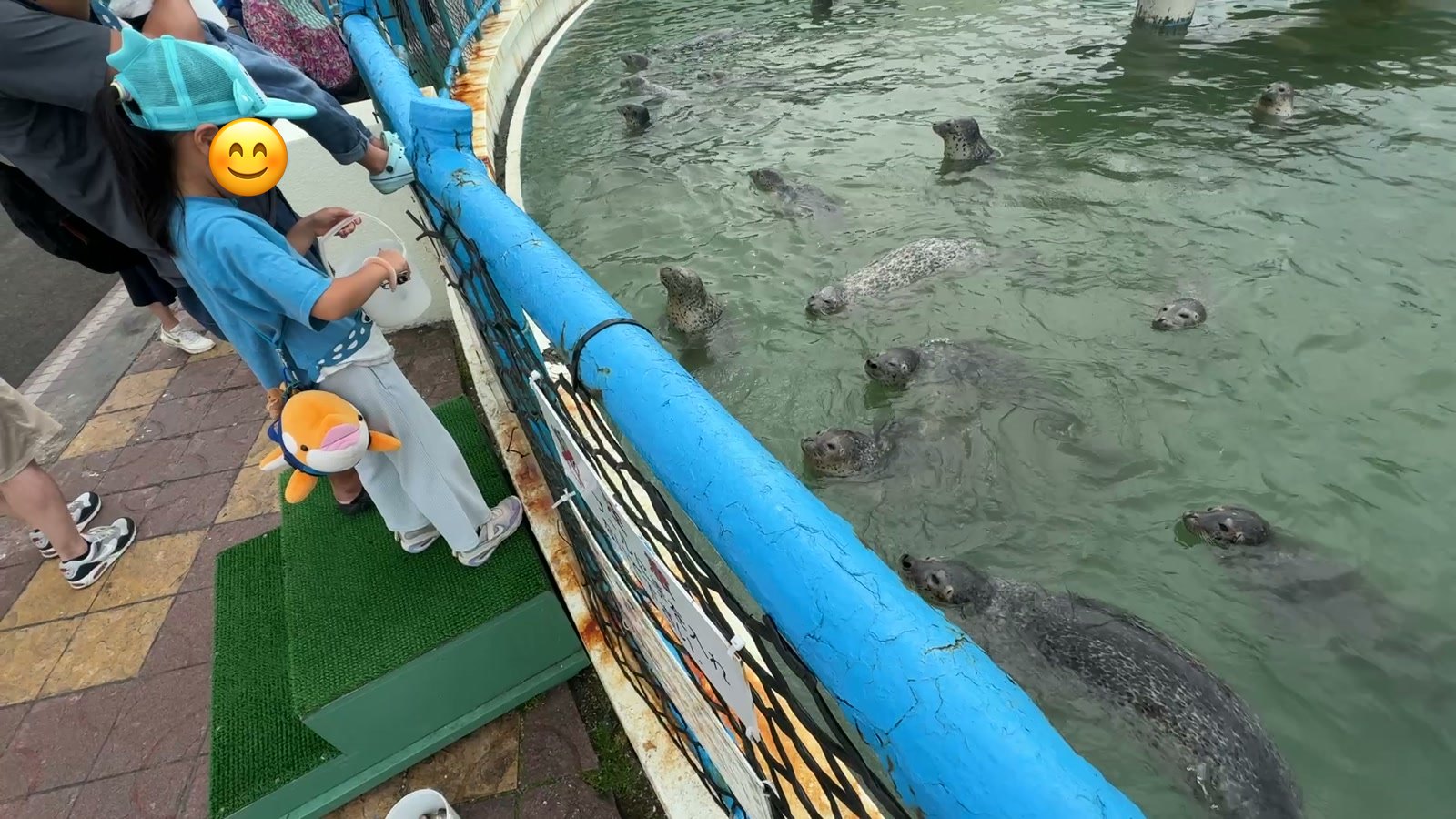 アザラシに餌やり