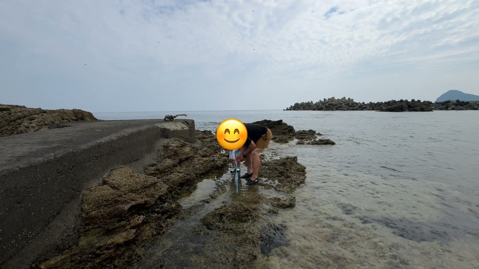 岩場で生きものを探すパパ