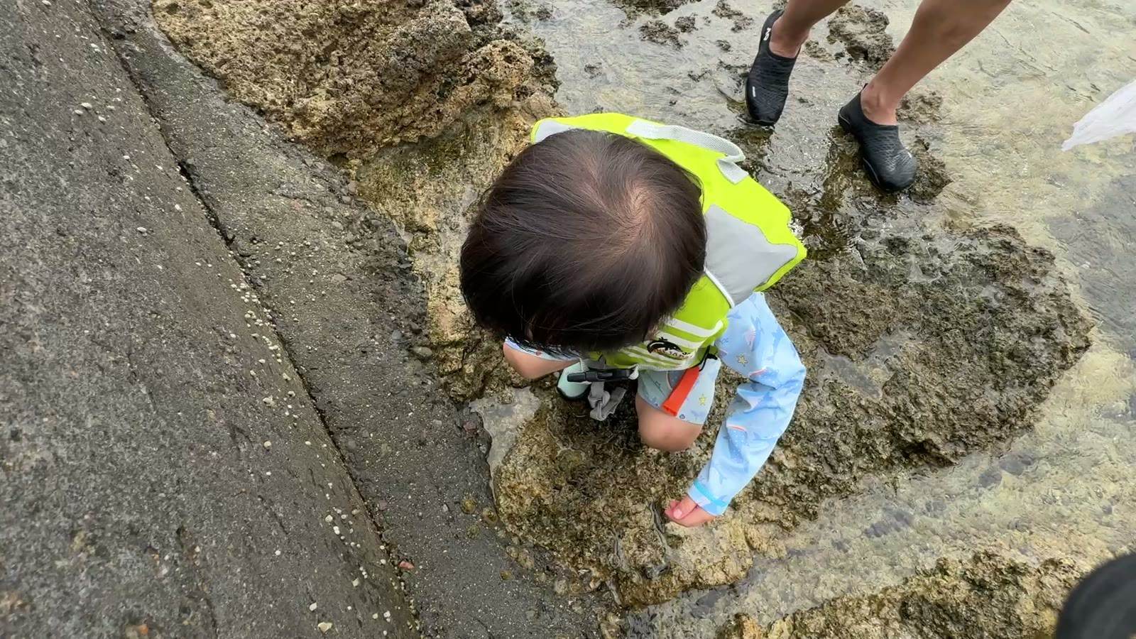 岩場の水たまりをのぞきこむ3歳の息子