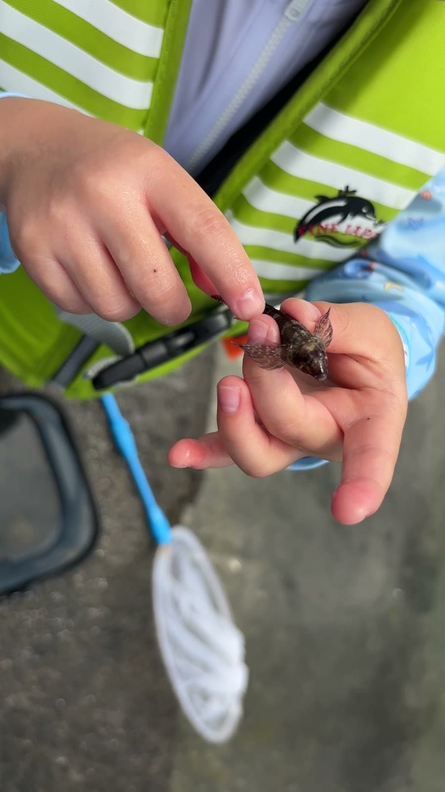 岩場でつかまえた小さな魚を手にのせる子ども