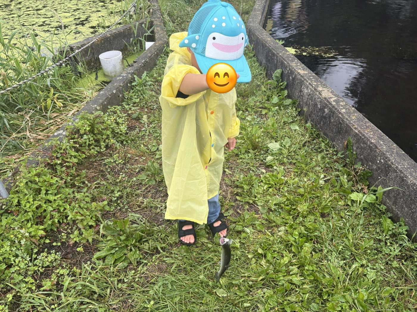 釣れた！